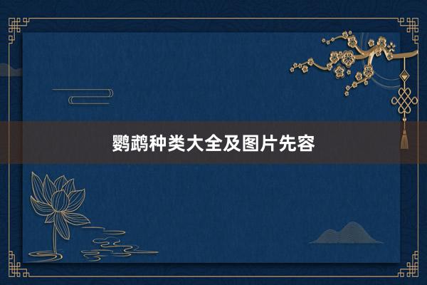 鹦鹉种类大全及图片先容